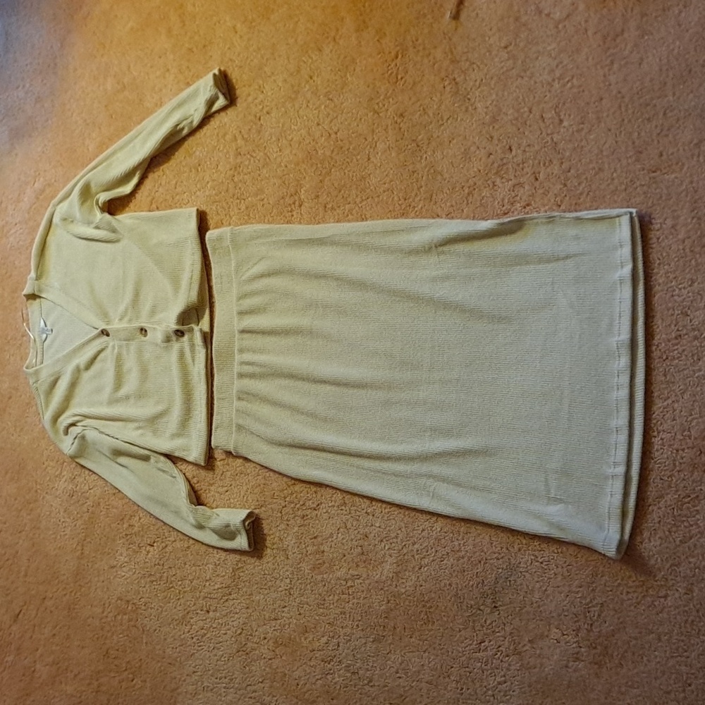 Time and Tru sweater/skirt